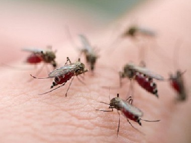家居蚊子防治及灭杀