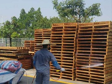 金沙洲白蚁防治房屋装修如何预防白蚁