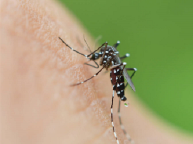 花都病媒生物控制中心有效的驱蚊方法都有哪些
