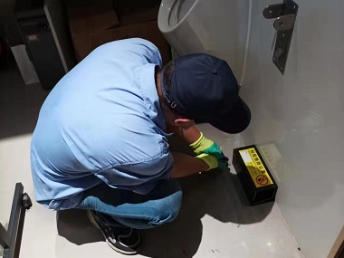 南沙专业灭鼠实用的工厂灭鼠方案