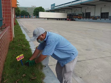 越秀红火蚁灭治所消灭红火蚁危害的方法